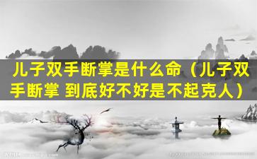 儿子双手断掌是什么命（儿子双手断掌 到底好不好是不起克人）